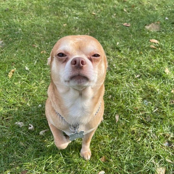 Meet your Posher, Jennifer - Picture 1 of 1